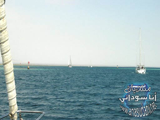 البحر الاحمر