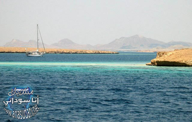 البحر الاحمر