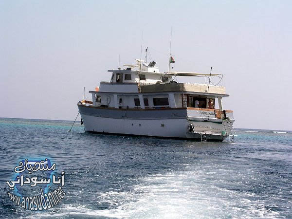 البحر الاحمر