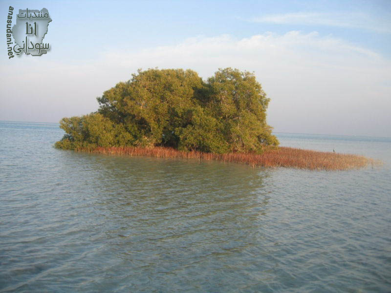 حلايب