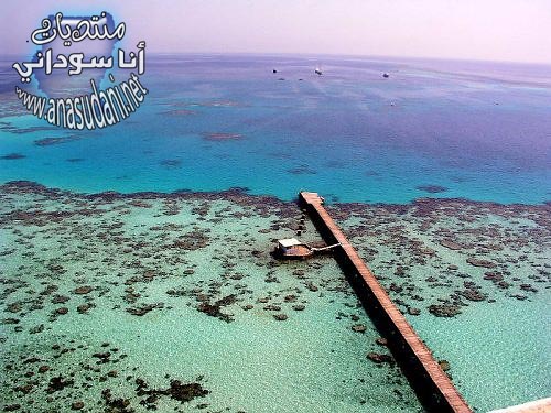 البحر الاحمر - بور سودان