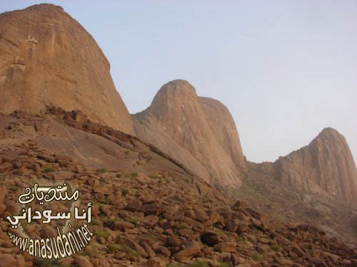 كسلا