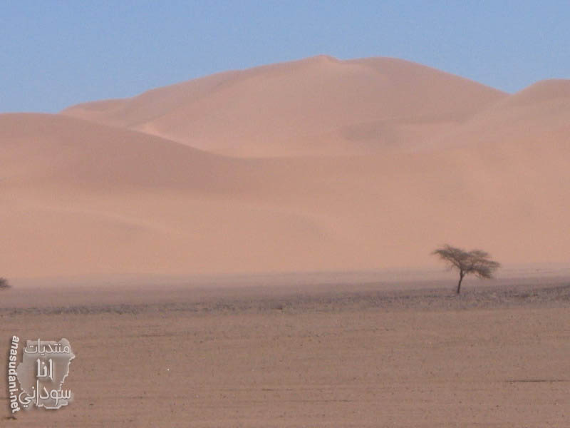 حلايب