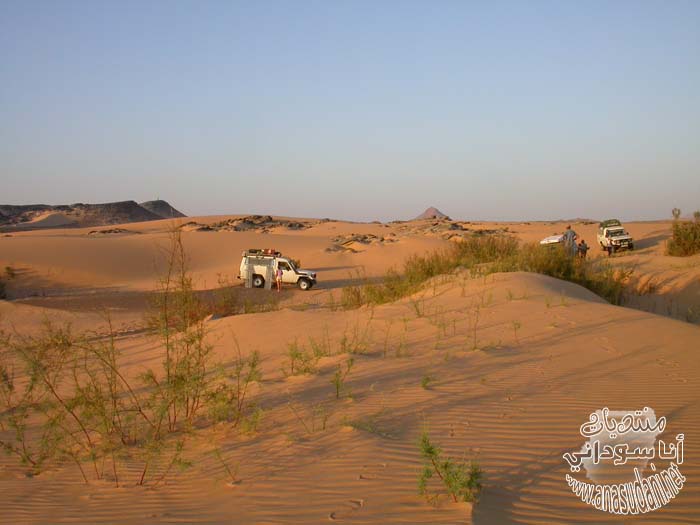 الشماليه