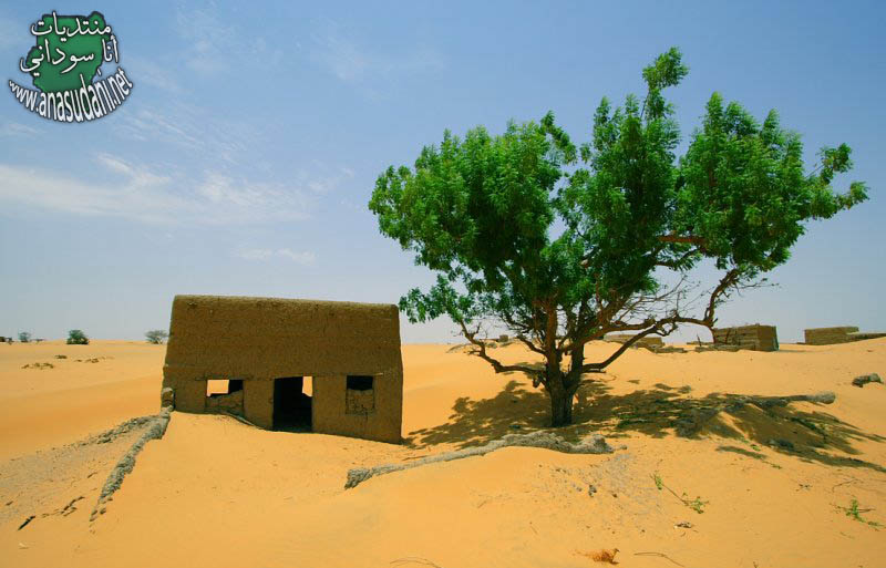 الشماليه