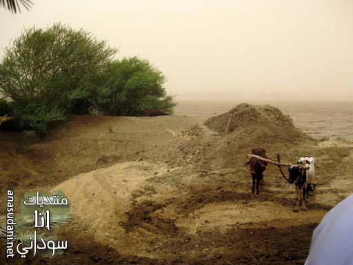دنقلا العجوز Old Dongola