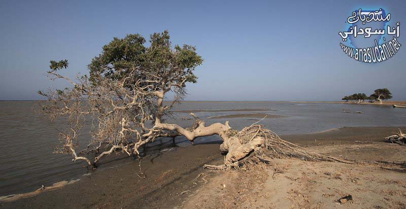 الطبيعة السودانية