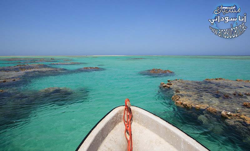 البحر الاحمر