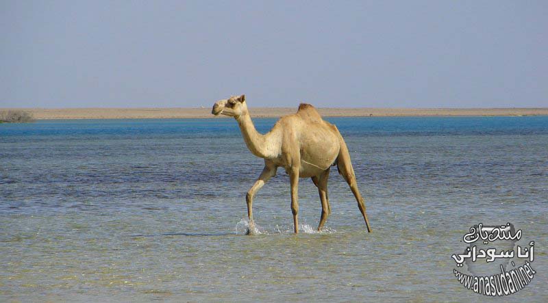 الطبيعة السودانية