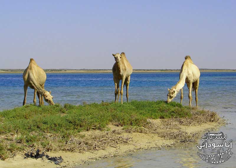 الطبيعة السودانية