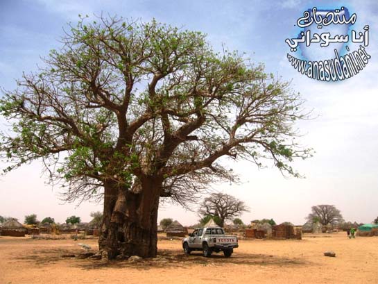الطبيعه في غرب السودان