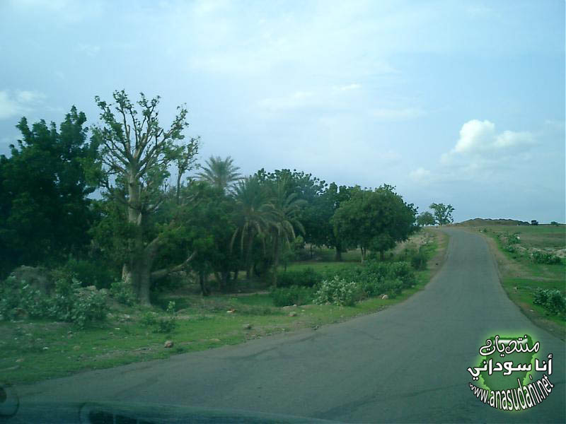شارع الدمازين والرصيرص