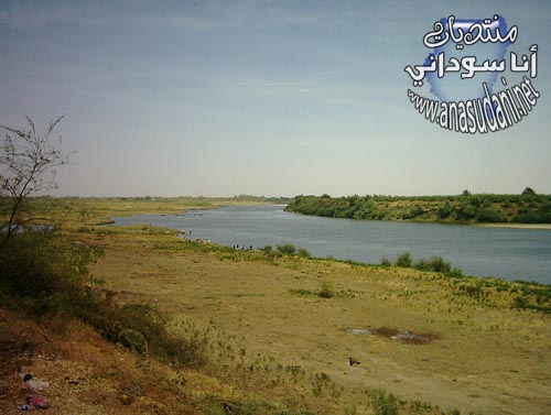 النيل في ودمدني