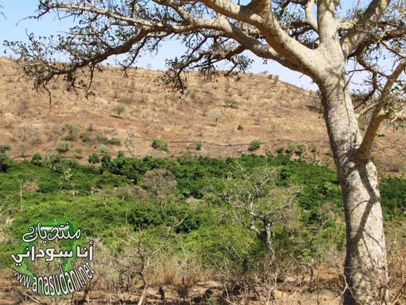 غرب السودان