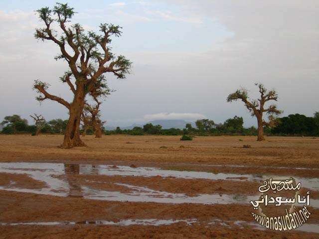 غرب السودان