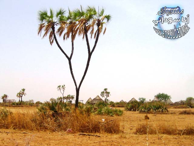 غرب السودان