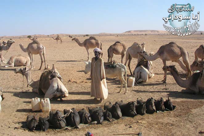 الاباله