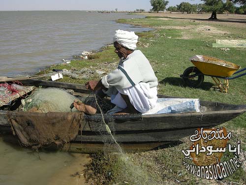 صياد سمك..النيل الازرق