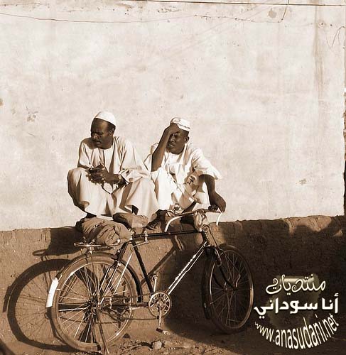 لا تعليق