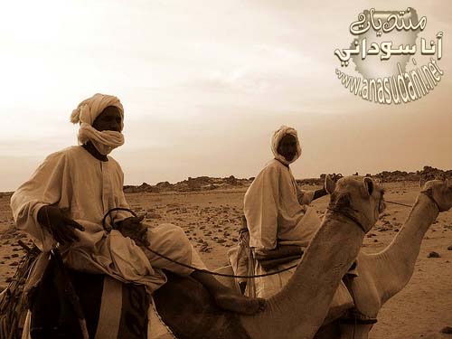 الاباله