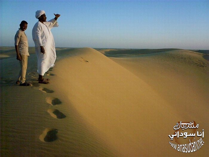 الكثبان الرمليه في الشمال