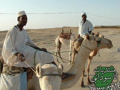 صور متفرقة 1