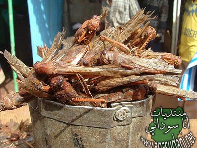 صور متفرقة 5