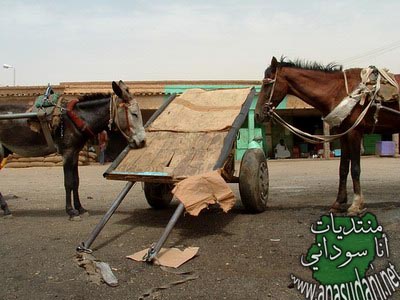 صور متفرقة 8