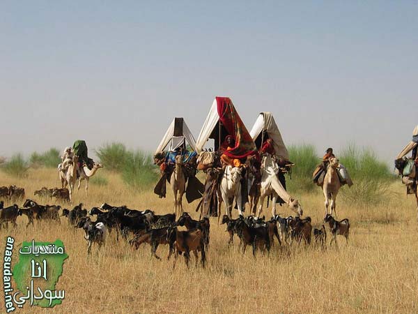 كردفان
