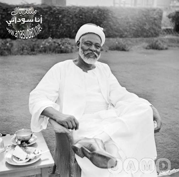 السيد عبدالرحمن المهدي