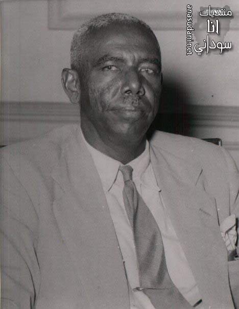 السيد عبدالرحمن علي طه