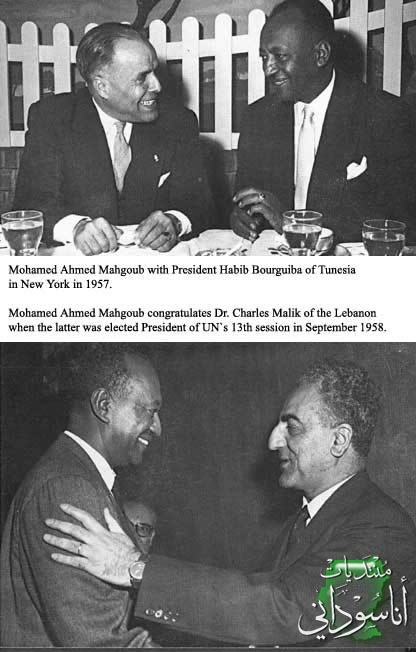 محمد احمد محجوب