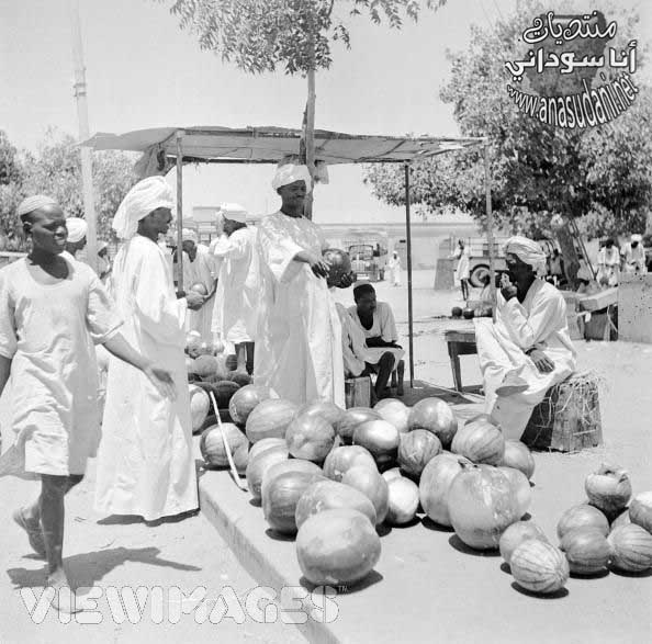 امدرمان 1950