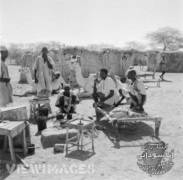 امدرمان 1950