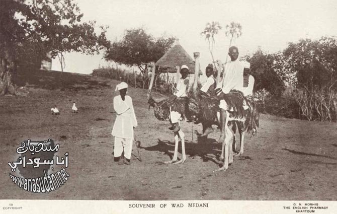 ود مدني  - 1930 م