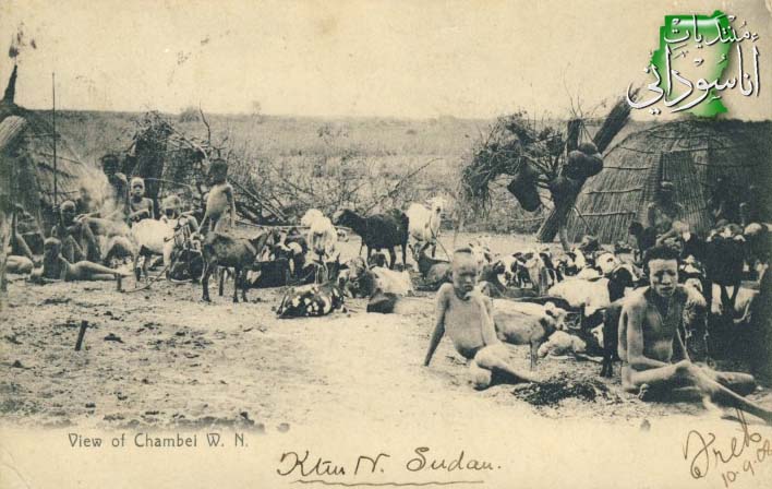 الجنوب عام 1908م