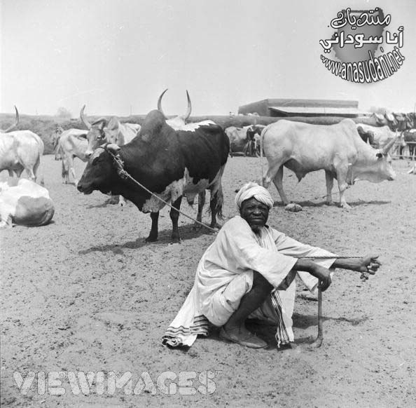 امدرمان - 1950