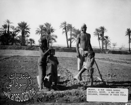 الشماليه جبل بركال