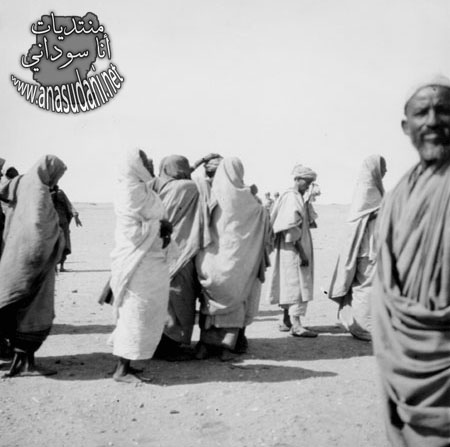 الشماليه جبل بركال