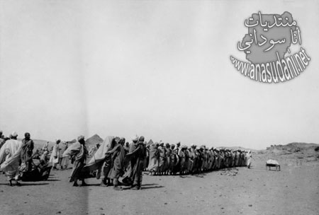 الشماليه منطقه جبل البركال