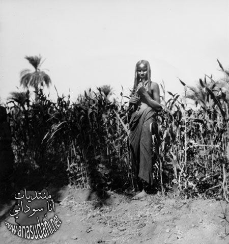 الشماليه منطقه جبل البركال