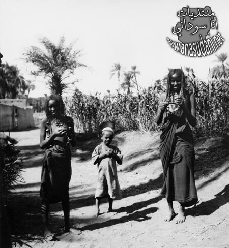 الشماليه منطقه جبل البركال