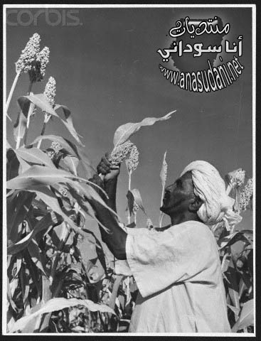 من الماضي