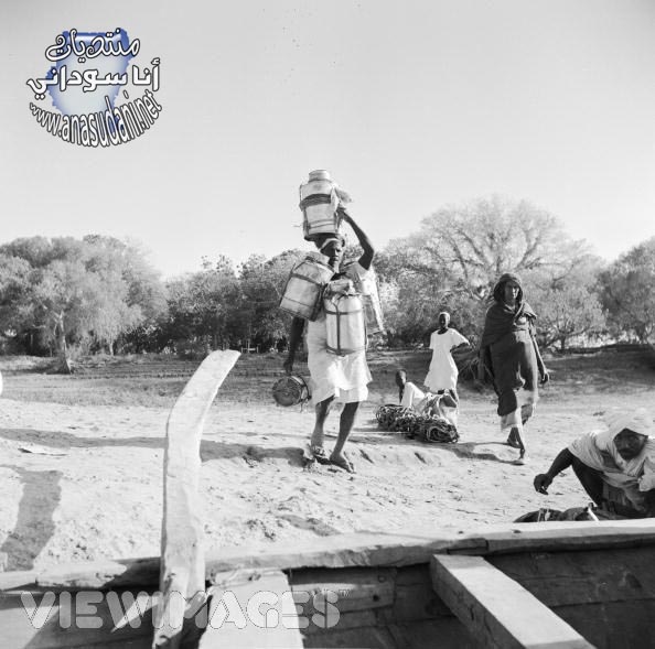 ود مدني - 1950