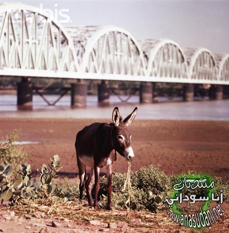 الخرطوم العام 1963