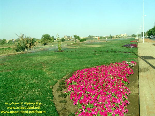 الخرطوم 6