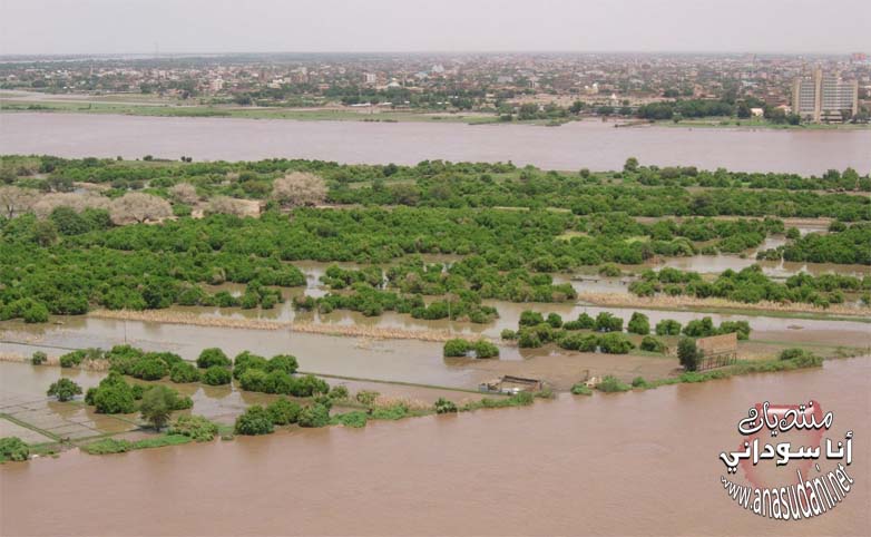 جزيره توتي