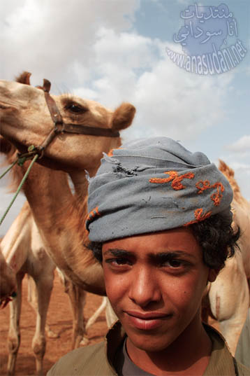 الرشايده