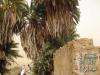 دنقلا العجوز Old Dongola