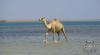 الطبيعة السودانية
